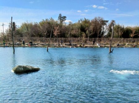 人がいっぱい魚もいっぱい ～高島の泉～